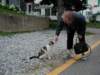 boothbayharborcat2_small.jpg