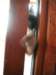 lillytryingtoexitthesunroom_small.jpg