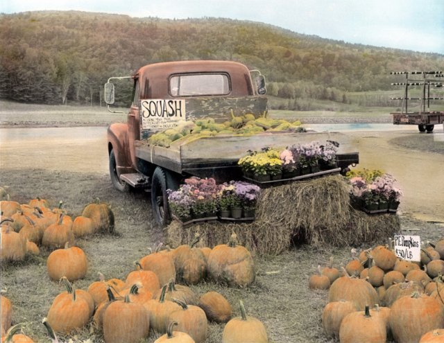 harvesttimewillistonvermont.jpg