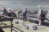 sanibelpierinflorida_small.jpg