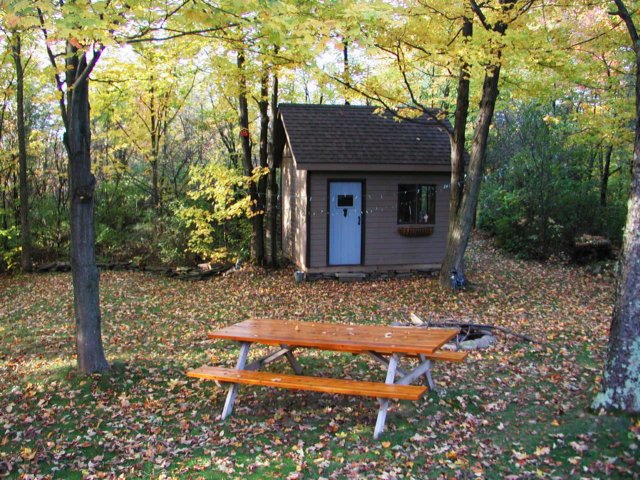 fallviewofmystudioshed.jpg