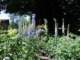 frontgardenbyourdriveway_small.jpg