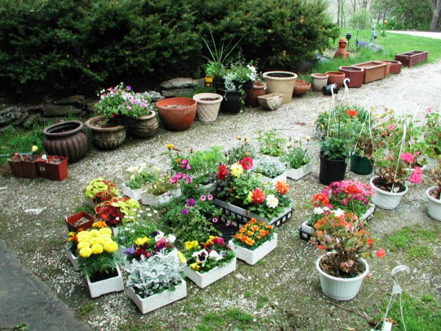 gettingtheplantersreadyinspring.jpg
