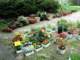 gettingtheplantersreadyinspring_small.jpg