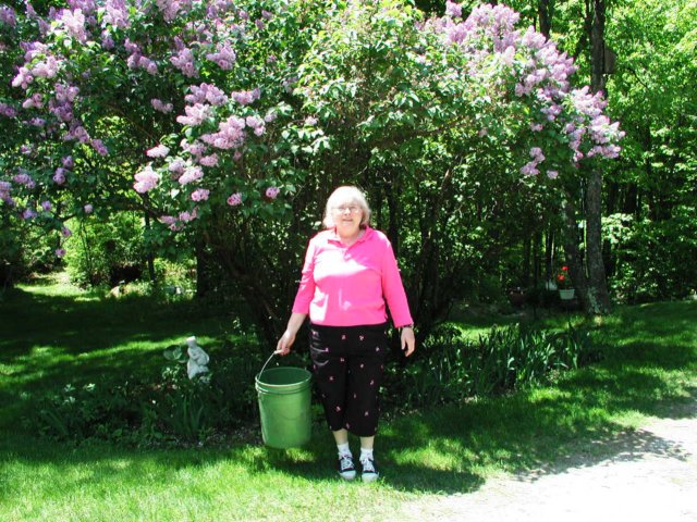 meinfrontofoneofourlilacs.jpg