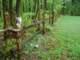 ouroldsplitcedarfence_small.jpg