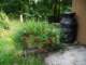 planteronfrontofgarage_small.jpg
