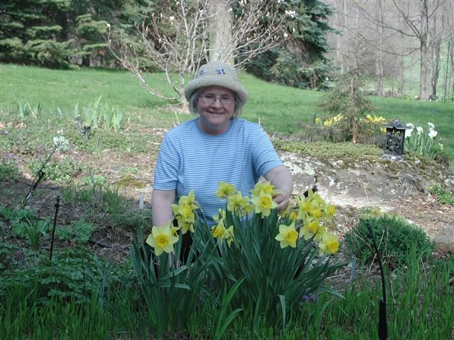 springdaffodils.jpg