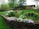 springviewofourwallgarden_small.jpg