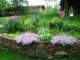 wallgardenabitlaterinspring_small.jpg