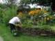 weedingtimehereimhelpingoutdavebyweedinghiswallgardenbesideourdriveway_small.jpg