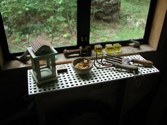 viewoutthewestwindow.jpg